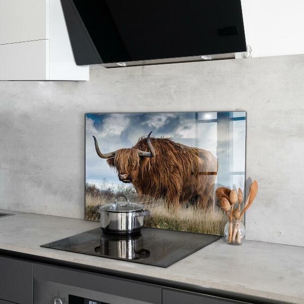 Crédence cuisine en verre Vache boho des highlands