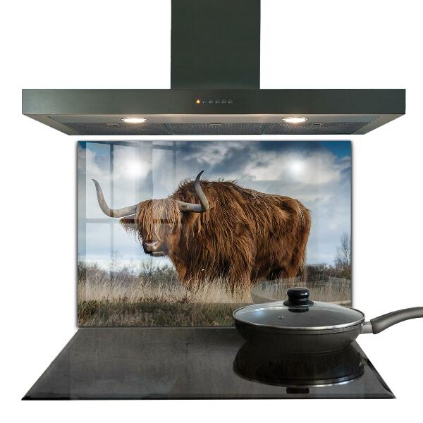 Crédence cuisine en verre Vache boho des highlands