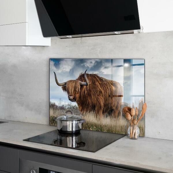 Crédence cuisine en verre Vache boho des highlands