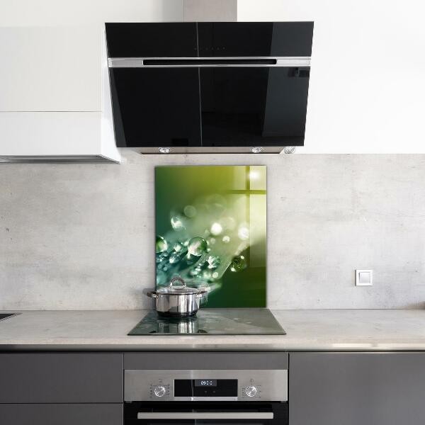 Crédence cuisine en verre Rosée sur les feuilles vertes