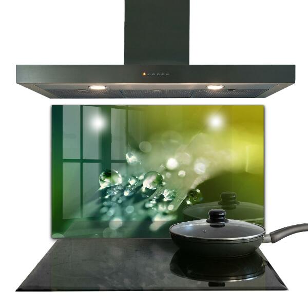 Crédence cuisine en verre Rosée sur les feuilles vertes