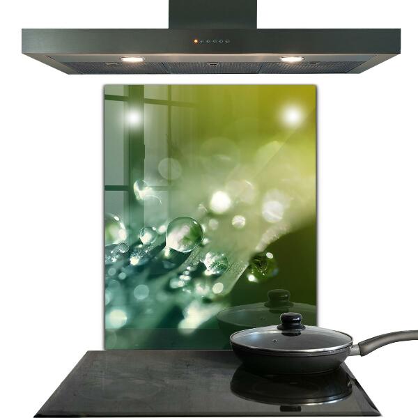 Crédence cuisine en verre Rosée sur les feuilles vertes