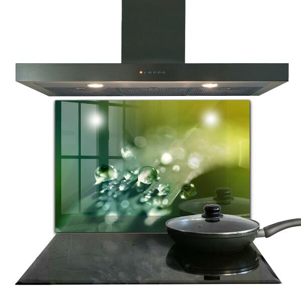 Crédence cuisine en verre Rosée sur les feuilles vertes