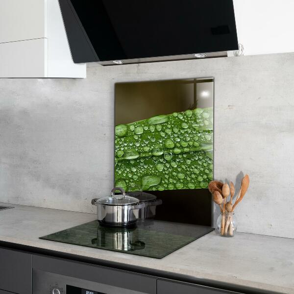 Crédence cuisine en verre Feuille verte après la pluie