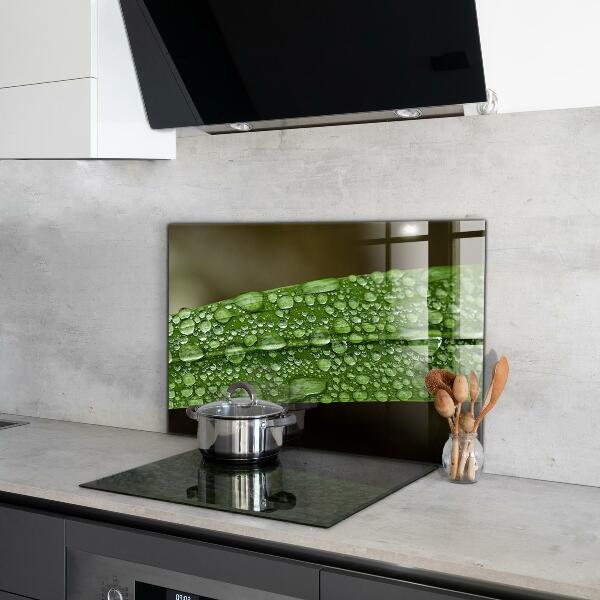 Crédence cuisine en verre Feuille verte après la pluie