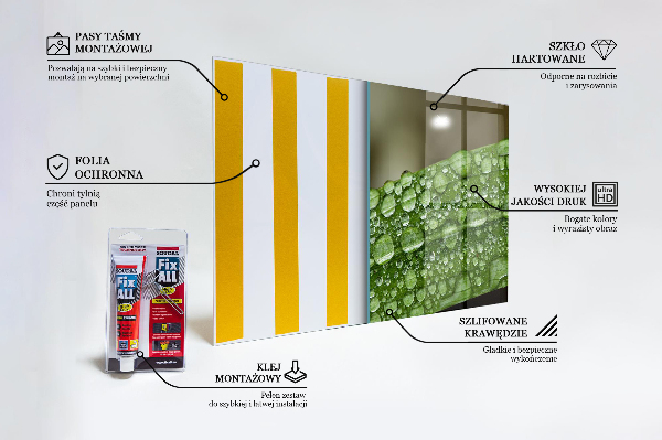 Crédence cuisine en verre Feuille verte après la pluie
