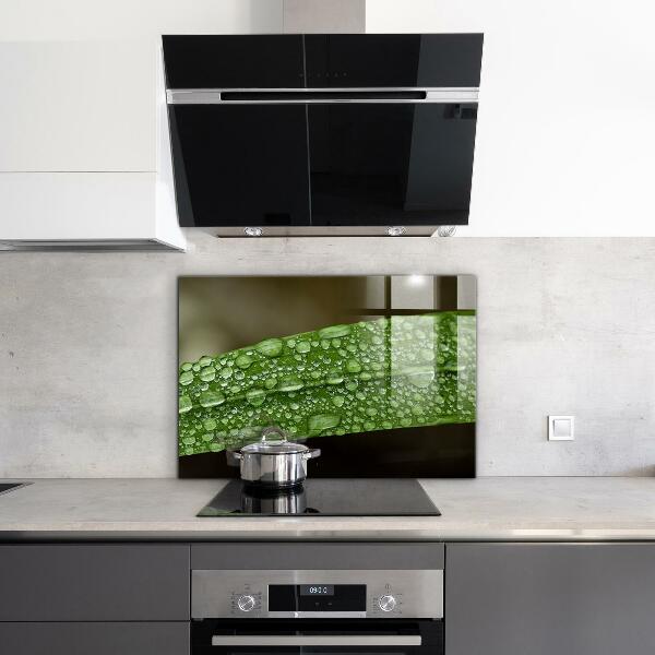 Crédence cuisine en verre Feuille verte après la pluie