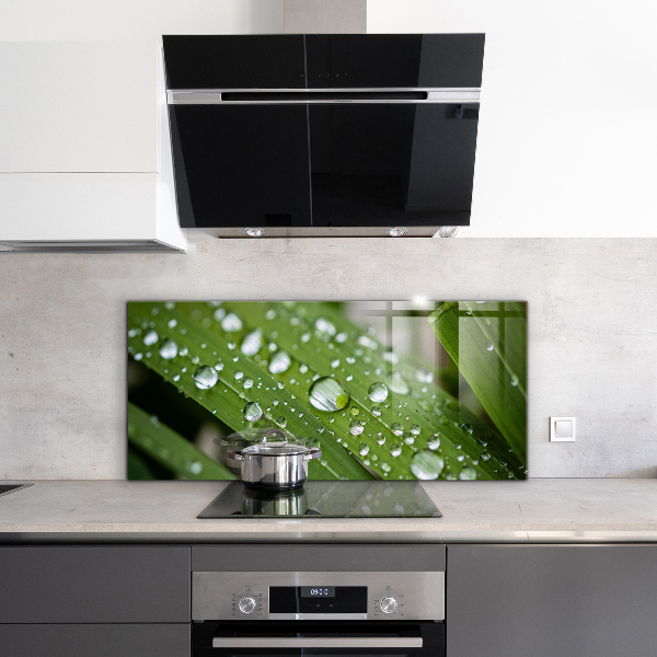 Crédence cuisine en verre Gouttes de rosée sur l'herbe
