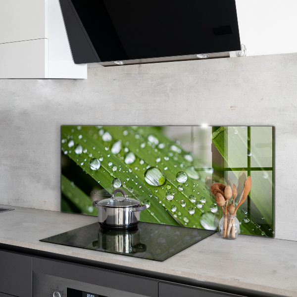 Crédence cuisine en verre Gouttes de rosée sur l'herbe