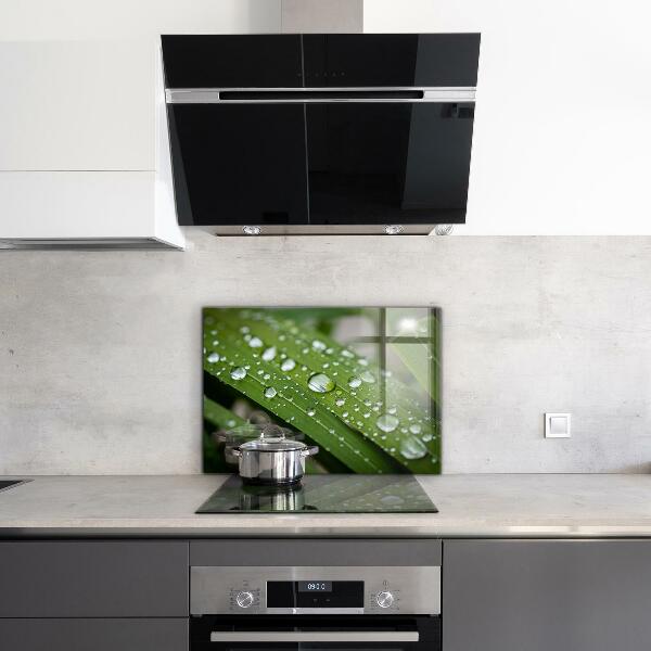 Crédence cuisine en verre Gouttes de rosée sur l'herbe