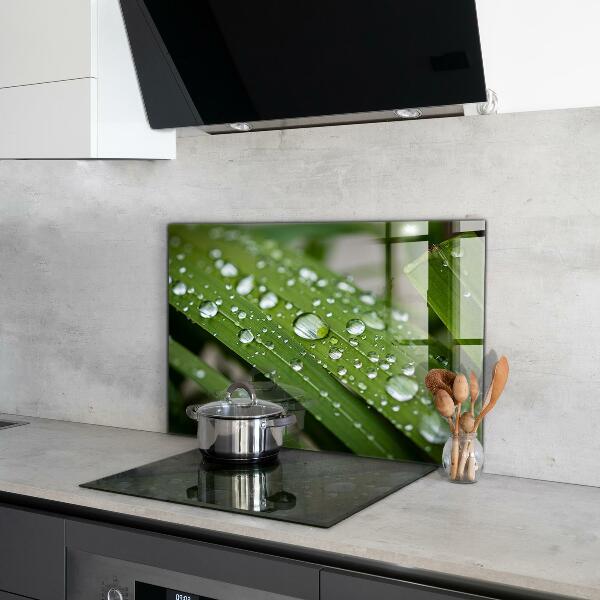 Crédence cuisine en verre Gouttes de rosée sur l'herbe