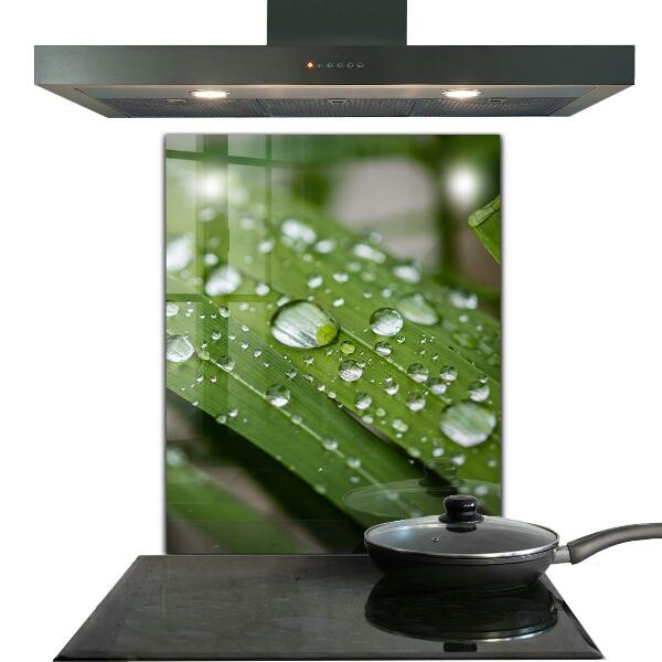 Crédence cuisine en verre Gouttes de rosée sur l'herbe