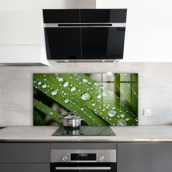 Crédence cuisine en verre Gouttes de rosée sur l'herbe