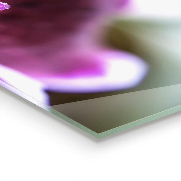 Crédence cuisine en verre Détails de la nature de la fleur rose