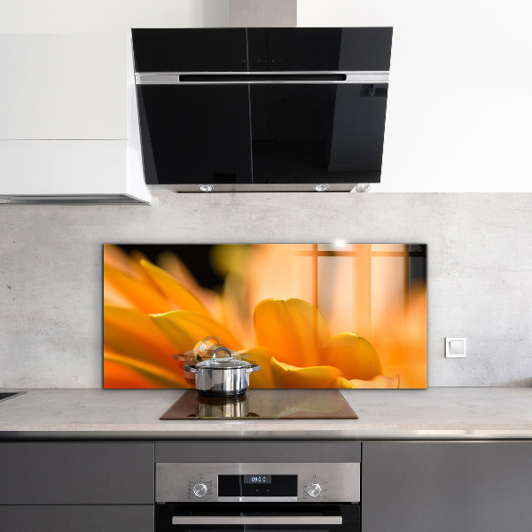 Crédence cuisine en verre Fleur de gerber