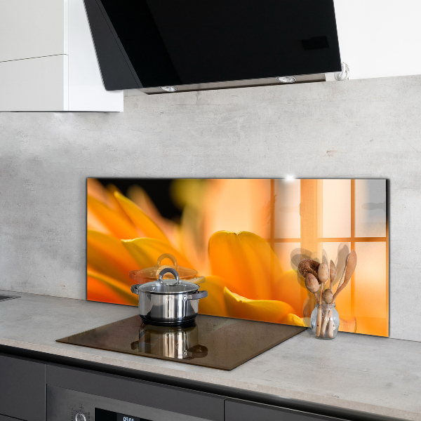 Crédence cuisine en verre Fleur de gerber
