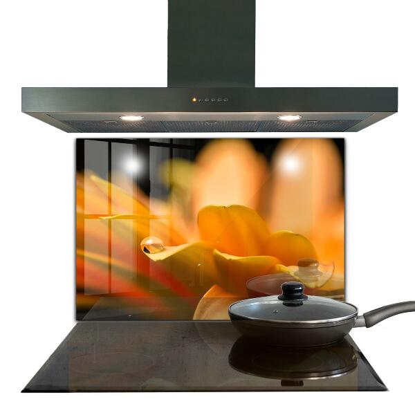 Crédence cuisine en verre Fleur de gerber