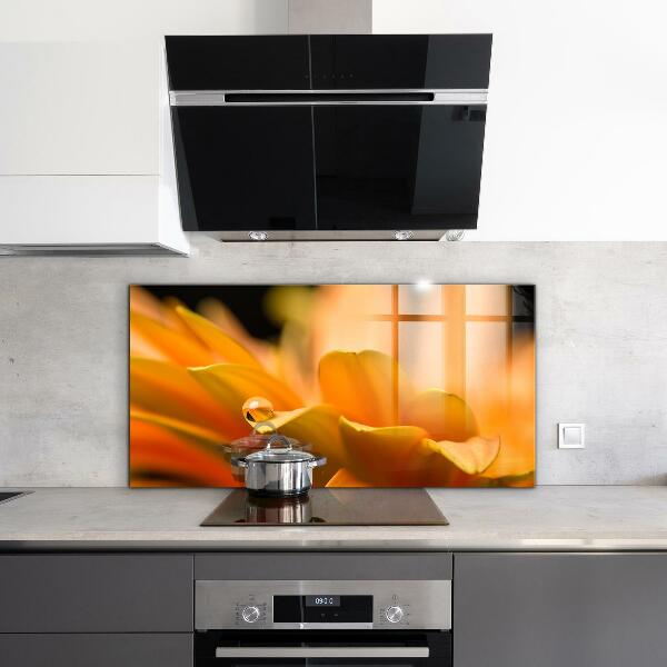 Crédence cuisine en verre Fleur de gerber