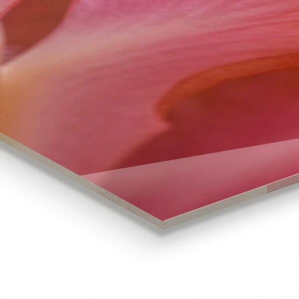 Crédence cuisine en verre Pollen de fleurs nature