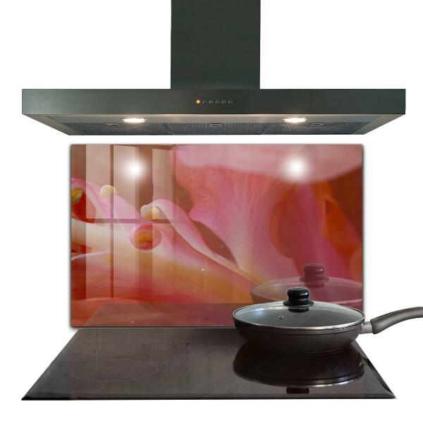 Crédence cuisine en verre Pollen de fleurs nature