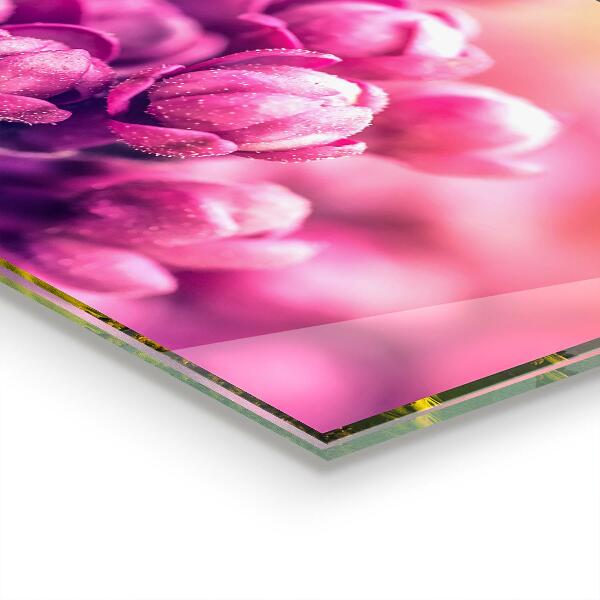 Crédence cuisine en verre Lys roses beauté naturelle