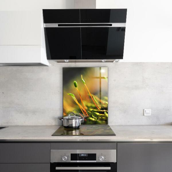 Crédence en verre avec motif Détails de la mousse forestière