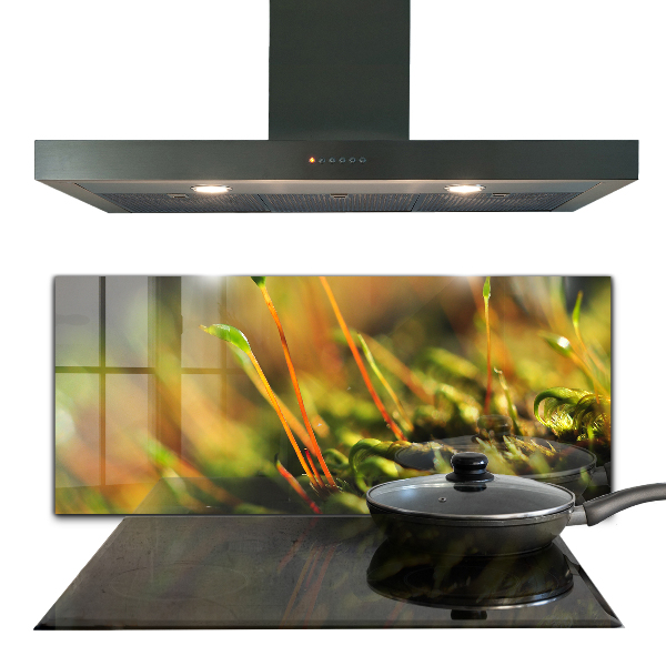 Crédence en verre avec motif Détails de la mousse forestière