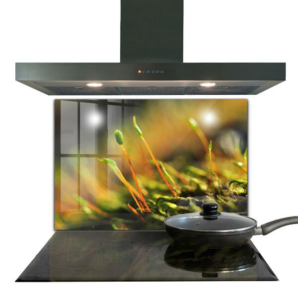 Crédence en verre avec motif Détails de la mousse forestière