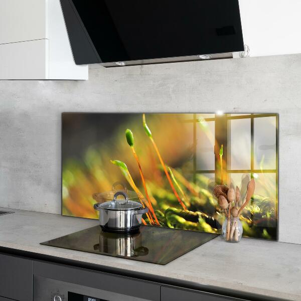 Crédence en verre avec motif Détails de la mousse forestière