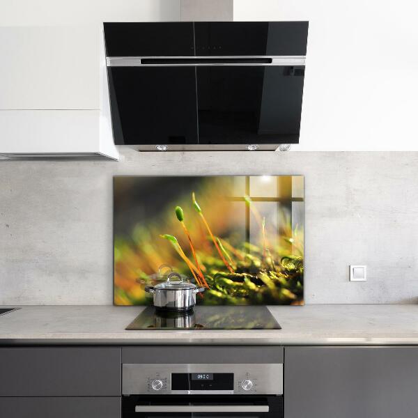 Crédence en verre avec motif Détails de la mousse forestière