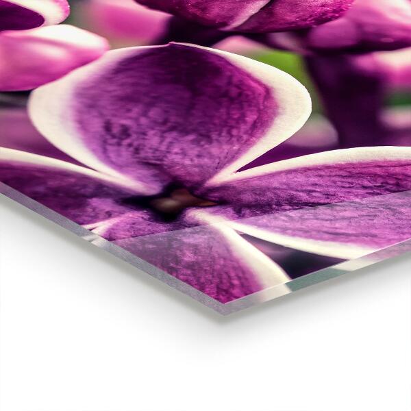 Crédence en verre avec motif Lys roses beauté naturelle