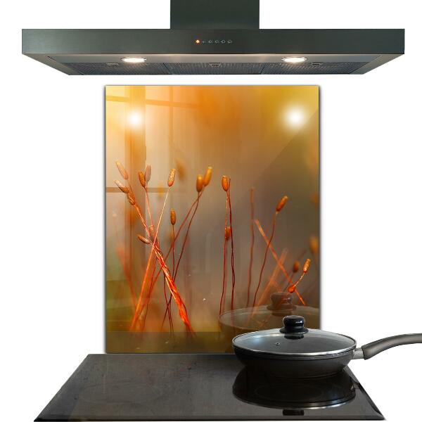 Crédence en verre avec motif Champ de céréales au coucher du soleil