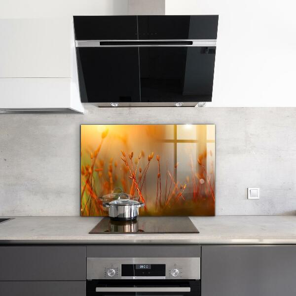 Crédence en verre avec motif Champ de céréales au coucher du soleil