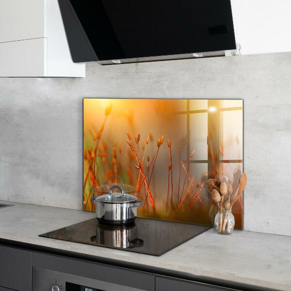 Crédence en verre avec motif Champ de céréales au coucher du soleil