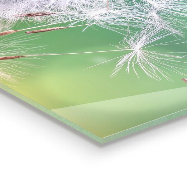 Crédence en verre avec motif Pissenlit pissenlit dans le vent