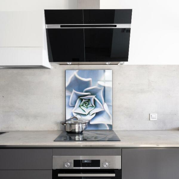 Crédence en verre avec motif Cactus succulents