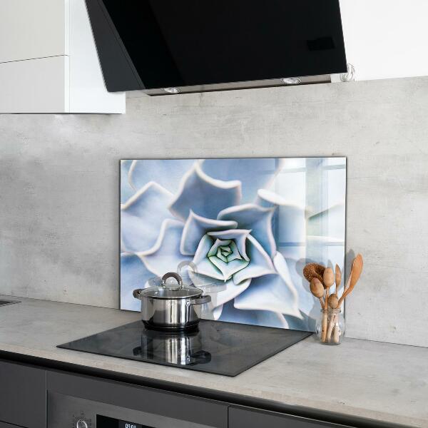 Crédence en verre avec motif Cactus succulents