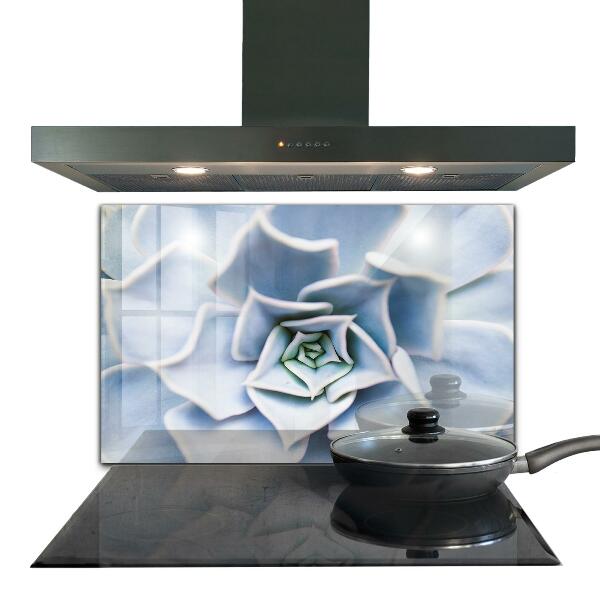 Crédence en verre avec motif Cactus succulents