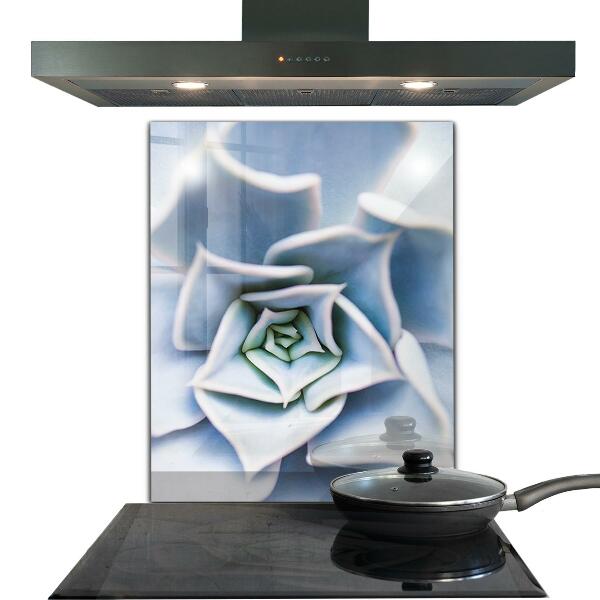 Crédence en verre avec motif Cactus succulents