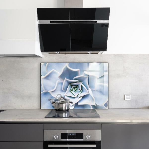 Crédence en verre avec motif Cactus succulents