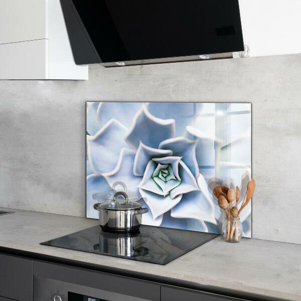 Crédence en verre avec motif Cactus succulents