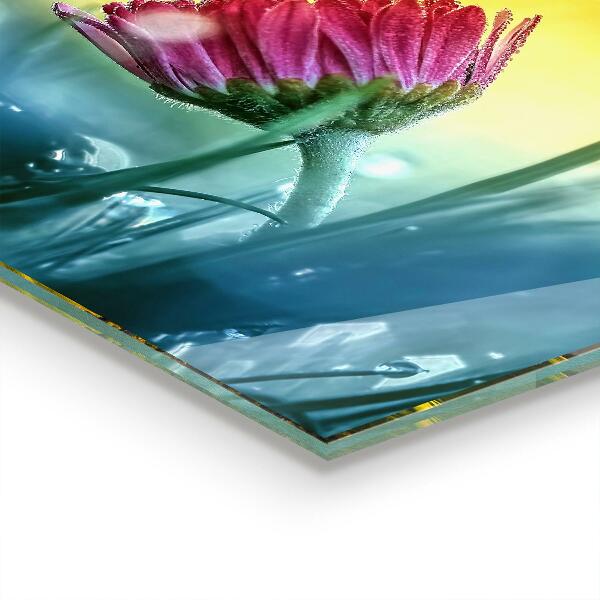 Crédence en verre avec motif Marguerite délicate dans le pré