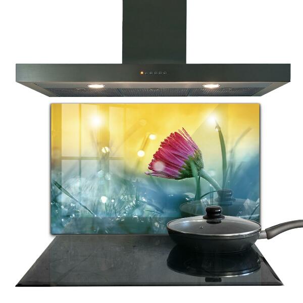 Crédence en verre avec motif Marguerite délicate dans le pré