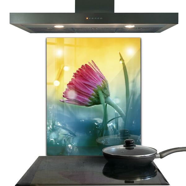 Crédence en verre avec motif Marguerite délicate dans le pré