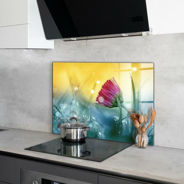 Crédence en verre avec motif Marguerite délicate dans le pré