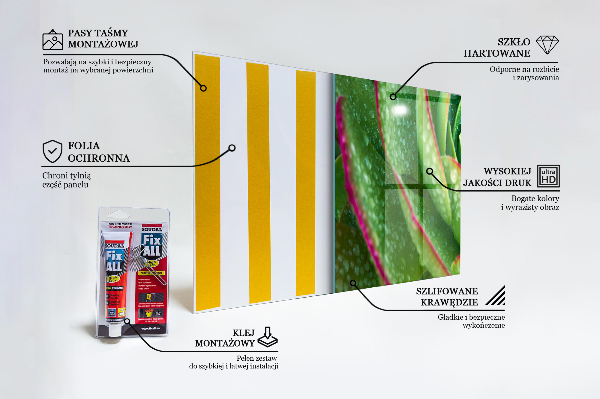 Panneau pour cuisine Jardin vert succulent de skalnik