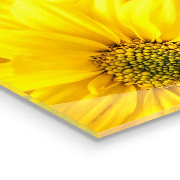 Panneau pour cuisine Fleurs jaunes d'été