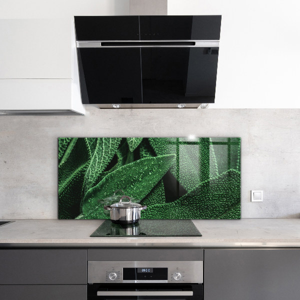 Panneau pour cuisine Feuilles vertes après la pluie