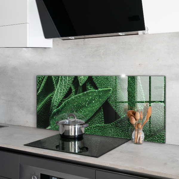 Panneau pour cuisine Feuilles vertes après la pluie