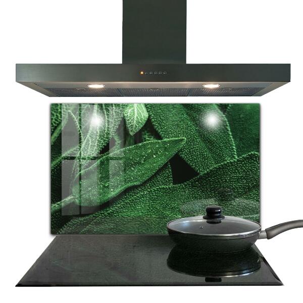 Panneau pour cuisine Feuilles vertes après la pluie